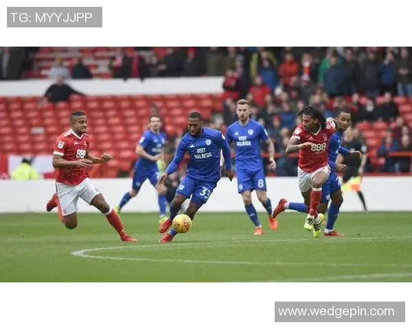 谢菲联足球队历史传奇球星回顾与辉煌时刻再现 谢菲联足球队历史传奇球星回顾与辉煌时刻再现