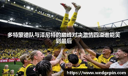 OB视讯